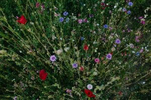Photo pinturas florais