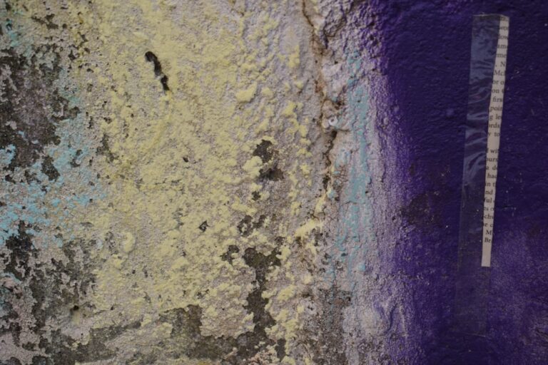 Photo Conservar e Proteger Pintura em Tela